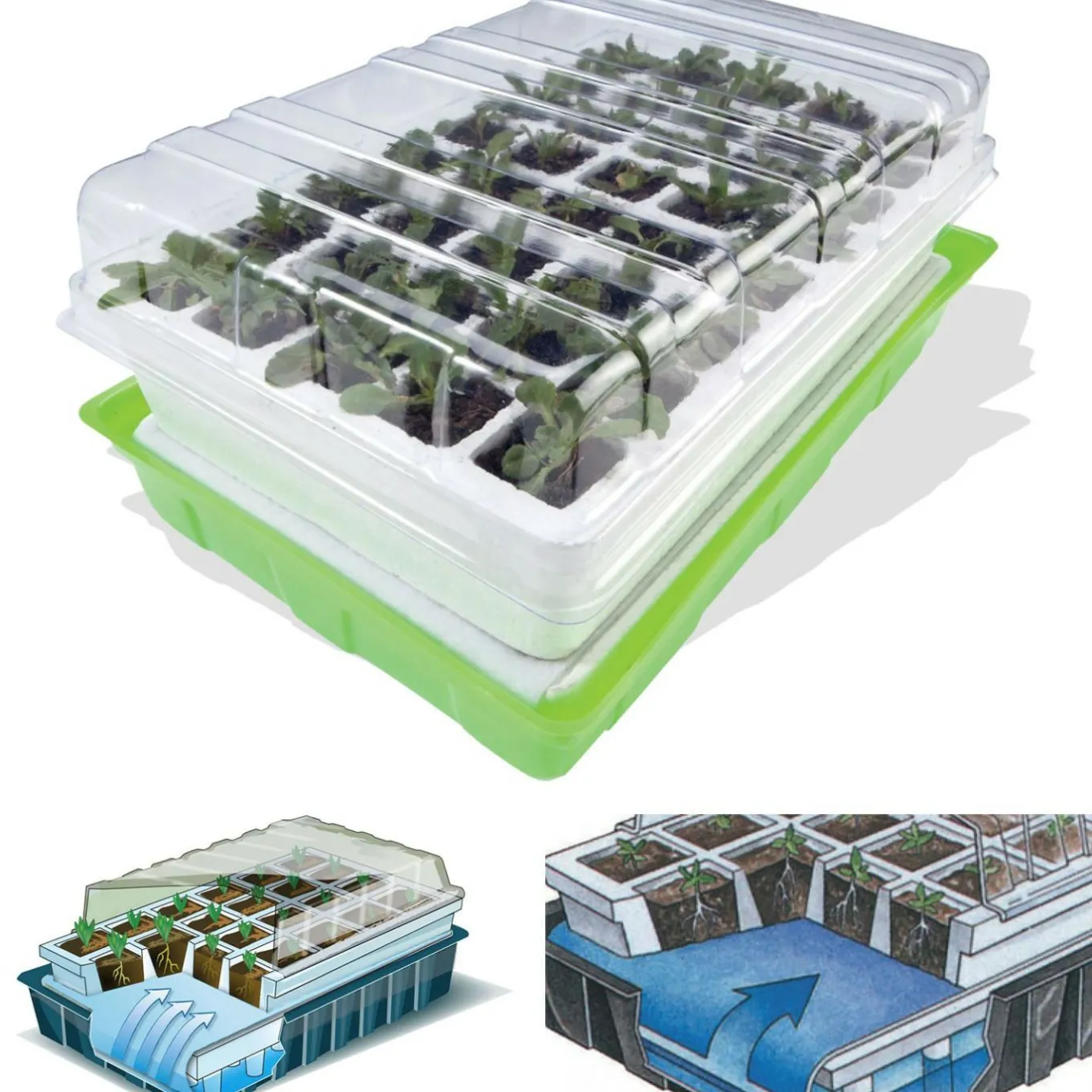 IDMarket 2 Kits de germination pour 80 godets* Serres À Tomates Et Équipement Du Potager