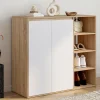 IDMarket Armoire à chaussures 12 paires 2 portes et 4 étagères* Collection Moderne|Petits Meubles