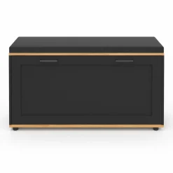 IDMarket Banc d'entrée noir avec coussin et rangement chaussures* Meubles Noirs|Collection Contemporaine