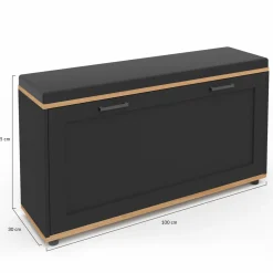 IDMarket Banc d'entrée noir avec coussin et rangement chaussures* Meubles Noirs|Collection Contemporaine