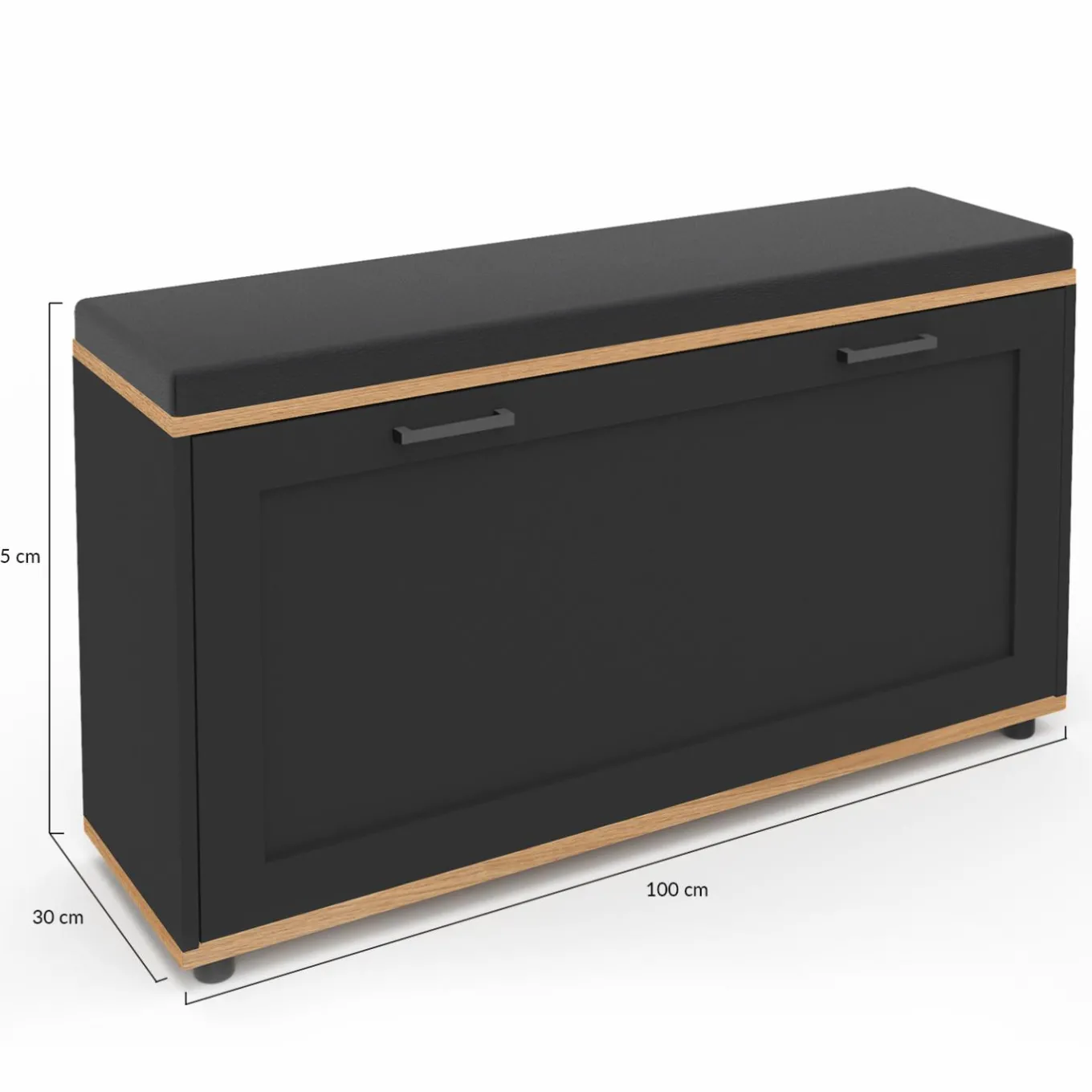 IDMarket Banc d'entrée noir avec coussin et rangement chaussures* Meubles Noirs|Collection Contemporaine