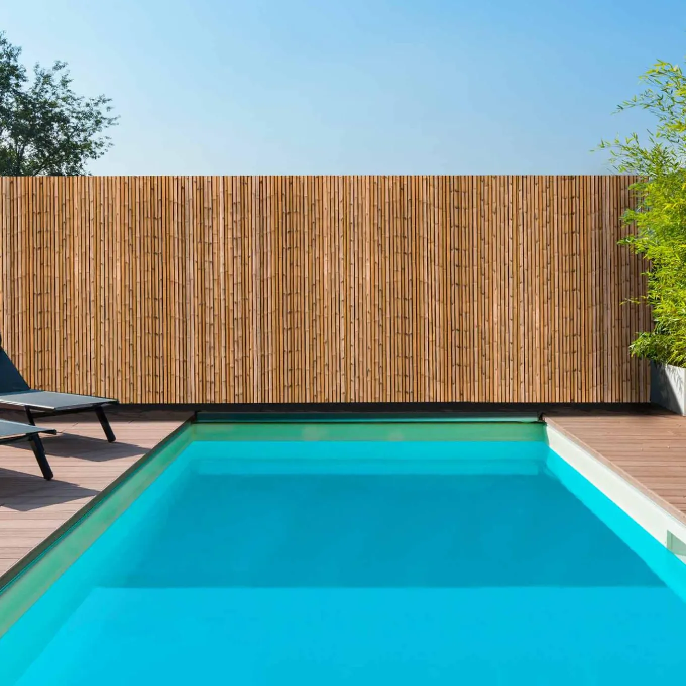 IDMarket Brise-vue occultant imprimé bambou 1,8 x 10 M 160 gr /m²* Brise-Vues