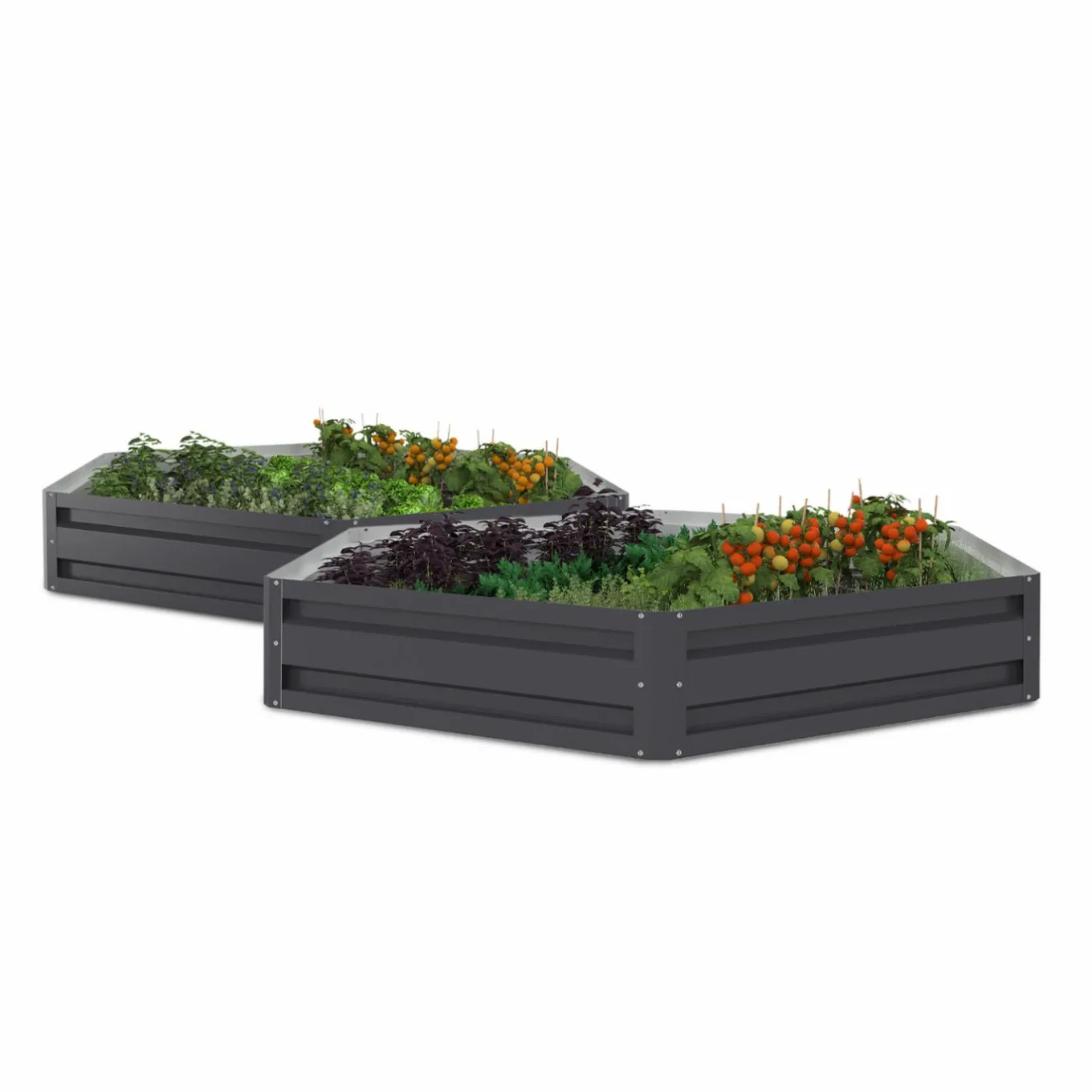 IDMarket Carrés de potager hexagonale 120 cm gris anthracite : lot de 2* Carrés Potager