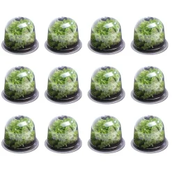 IDMarket Cloches pour plants de salade X12* Serres À Tomates Et Équipement Du Potager