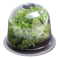 IDMarket Cloches pour plants de salade X12* Serres À Tomates Et Équipement Du Potager