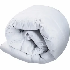 IDMarket Couette plume d'oie 220x240 cm* Couettes Et Oreillers|Chambre Complète Adulte