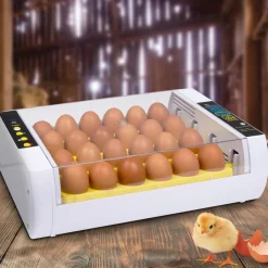 IDMarket Couveuse incubateur 24 œufs* Accessoires Animaux|Accessoires Poulailler
