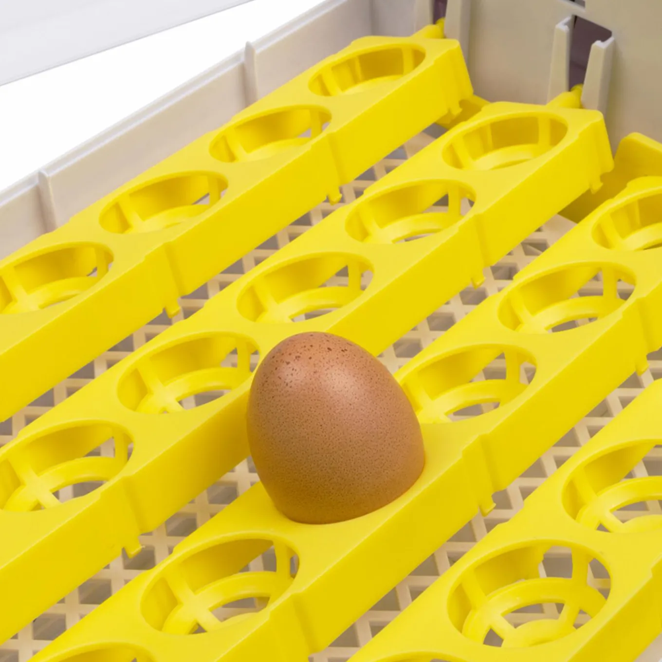 IDMarket Couveuse incubateur 24 œufs* Accessoires Animaux|Accessoires Poulailler