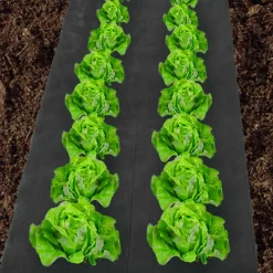 IDMarket Feutre géotextile noir pour paillage du jardin* Entretien Du Jardin Et Accessoires