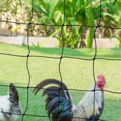 IDMarket Filet à poules de 50m avec porte* Accessoires Poulailler|Volières Et Enclos