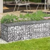 IDMarket Gabions pour pierre (jardin) 100 x 30 x 30 cm : lot de 2* Bordures De Jardin