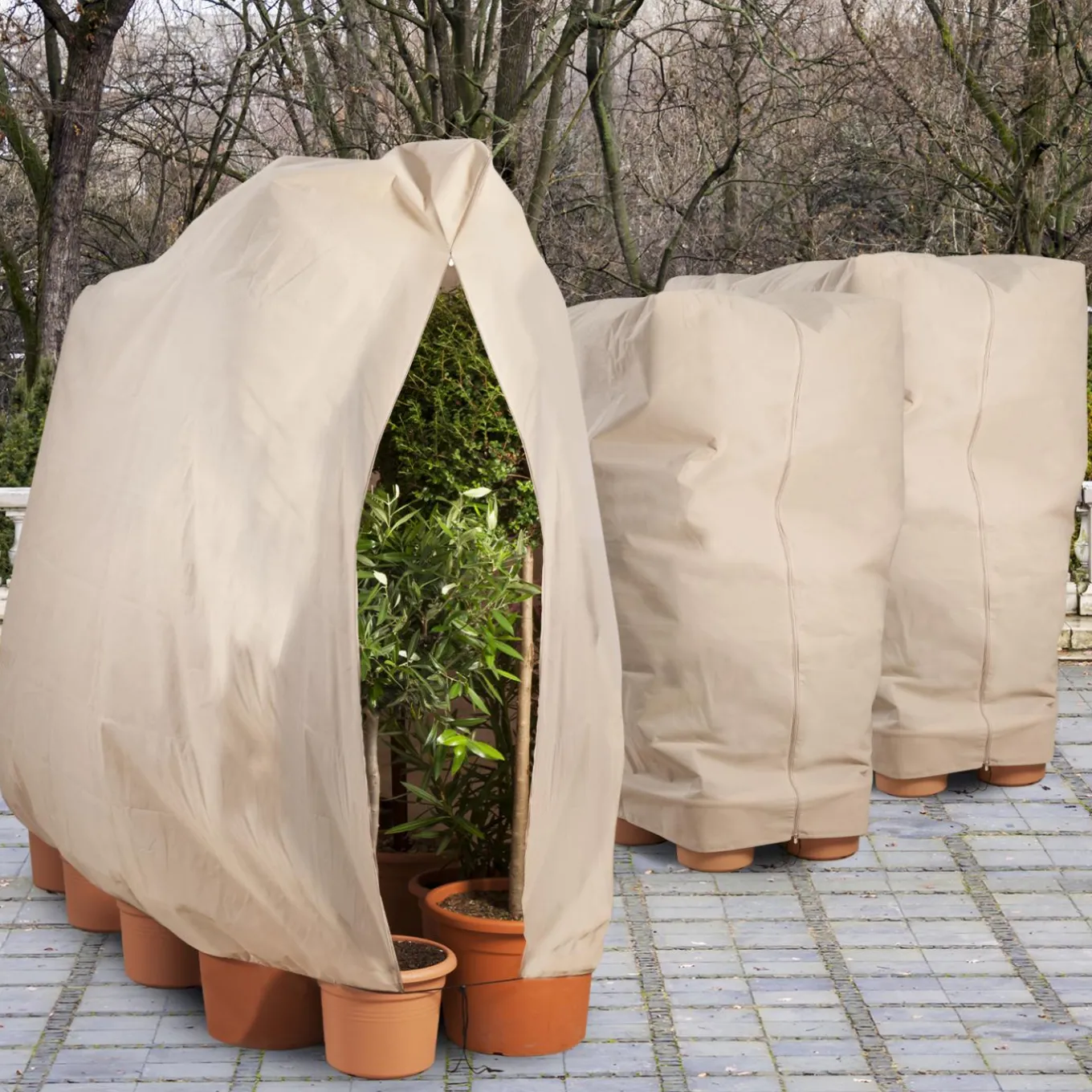 IDMarket Housses d’hivernage pour plantes 80x160cm* Protection Du Jardin
