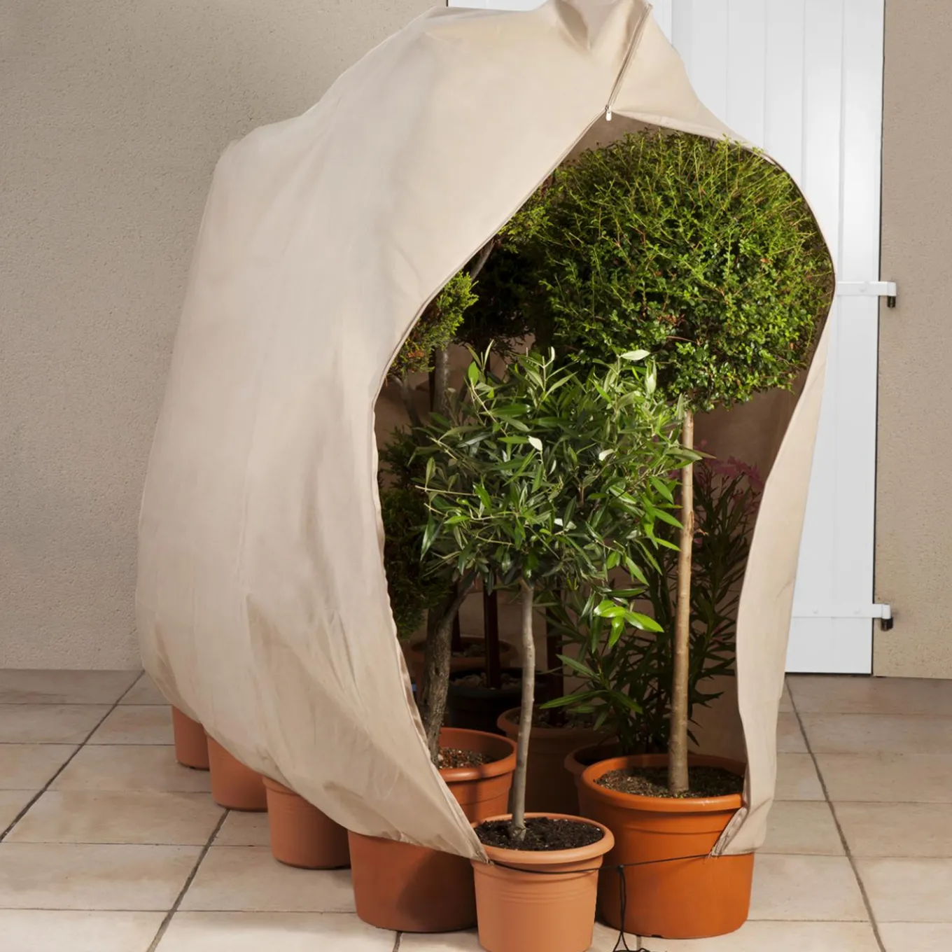 IDMarket Housses d’hivernage pour plantes 80x160cm* Protection Du Jardin