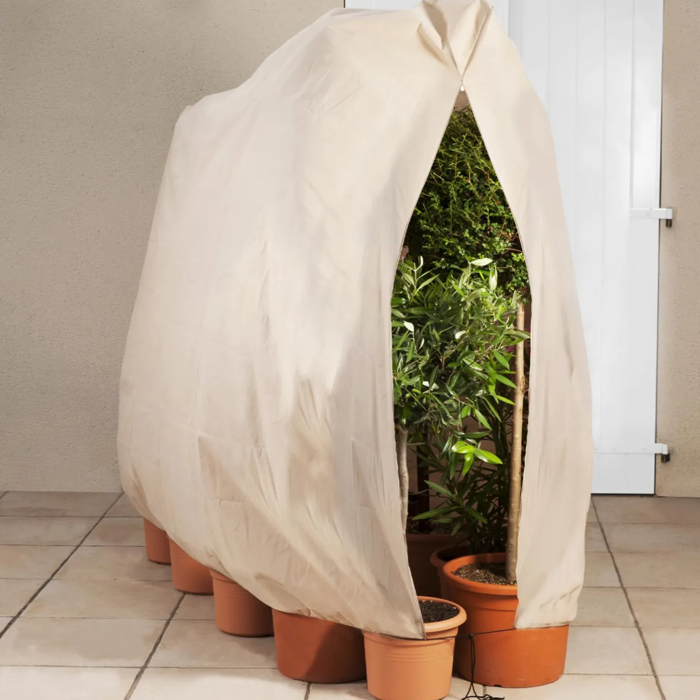 IDMarket Housses d’hivernage pour plantes 80x160cm* Protection Du Jardin