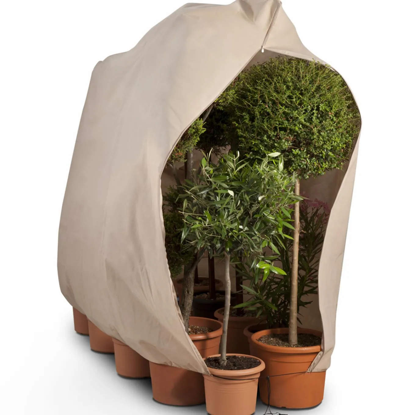 IDMarket Housses d’hivernage pour plantes 80x160cm* Protection Du Jardin