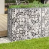 IDMarket Lot de 2 gabions pour pierre 100x30x80 cm en acier pour jardin* Bordures De Jardin