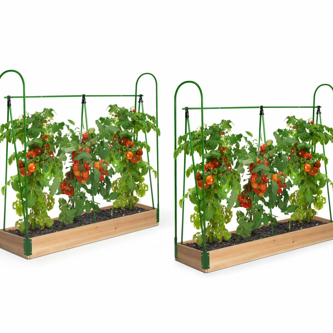IDMarket Lot de 2 tunnels à tomates 1,20 m* Serres À Tomates Et Équipement Du Potager|Serres