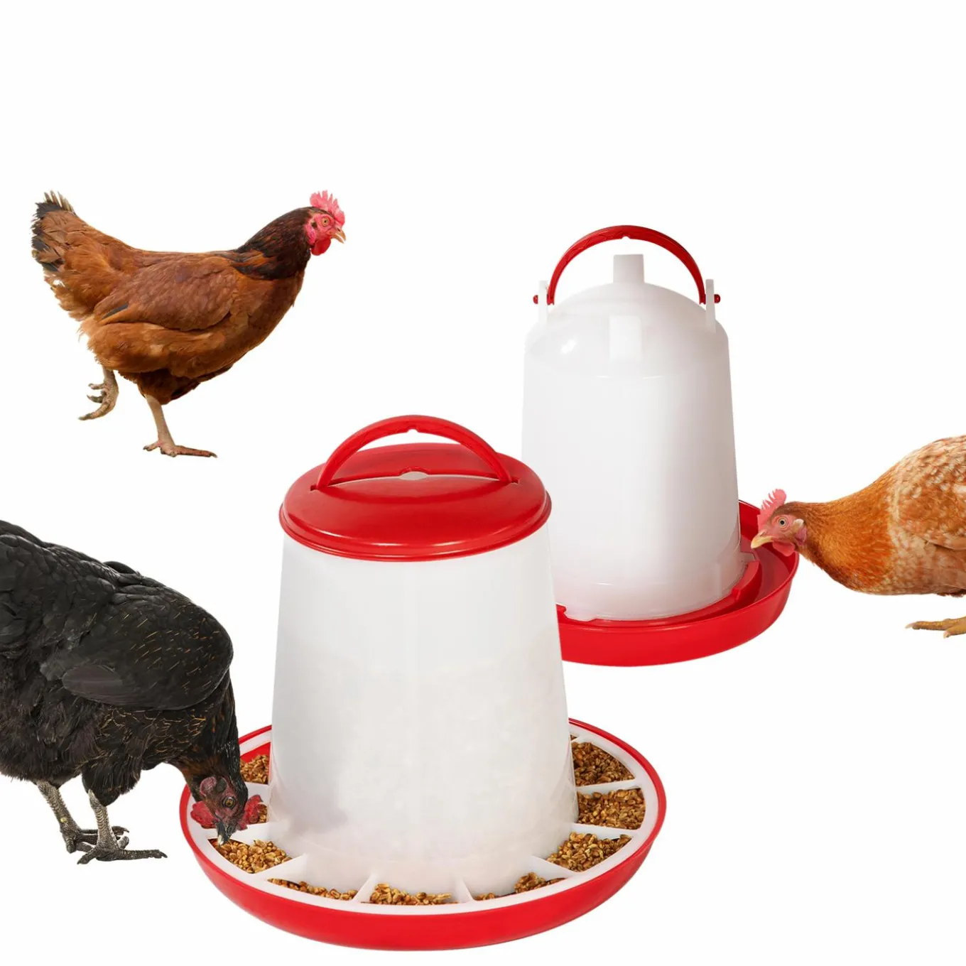 IDMarket Mangeoire et abreuvoir pour poules* Accessoires Animaux|Accessoires Poulailler