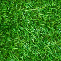 IDMarket Rouleau pelouse synthétique 1x10m* Entretien Du Jardin Et Accessoires|Revêtement Sol Extérieur