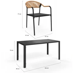 IDMarket Salon de jardin 6 personnes avec chaises noir et rotin clair* Salons De Jardin