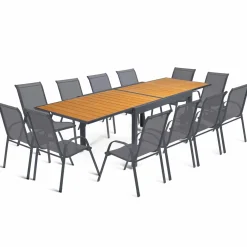 IDMarket Salon de jardin bois et gris anthracite avec table extensible et 12 chaises* Salons De Jardin