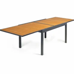IDMarket Salon de jardin bois et gris anthracite avec table extensible et 12 chaises* Salons De Jardin