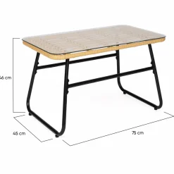 IDMarket Salon d’extérieur en résine tressée façon rotin et acier noir* Salons De Jardin