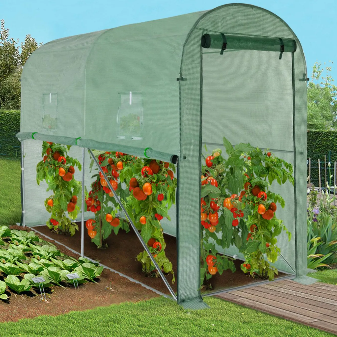 IDMarket Serre à tomates 3 m² 3x1x2m* Serres À Tomates Et Équipement Du Potager|Serres