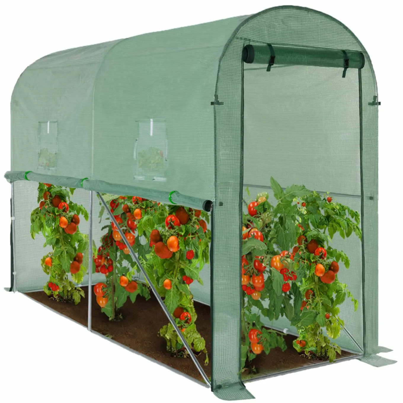 IDMarket Serre à tomates 3 m² 3x1x2m* Serres À Tomates Et Équipement Du Potager|Serres