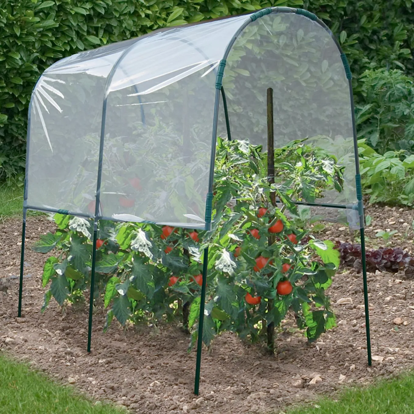 IDMarket Serre à tomates de 2m de longueur* Serres À Tomates Et Équipement Du Potager|Serres