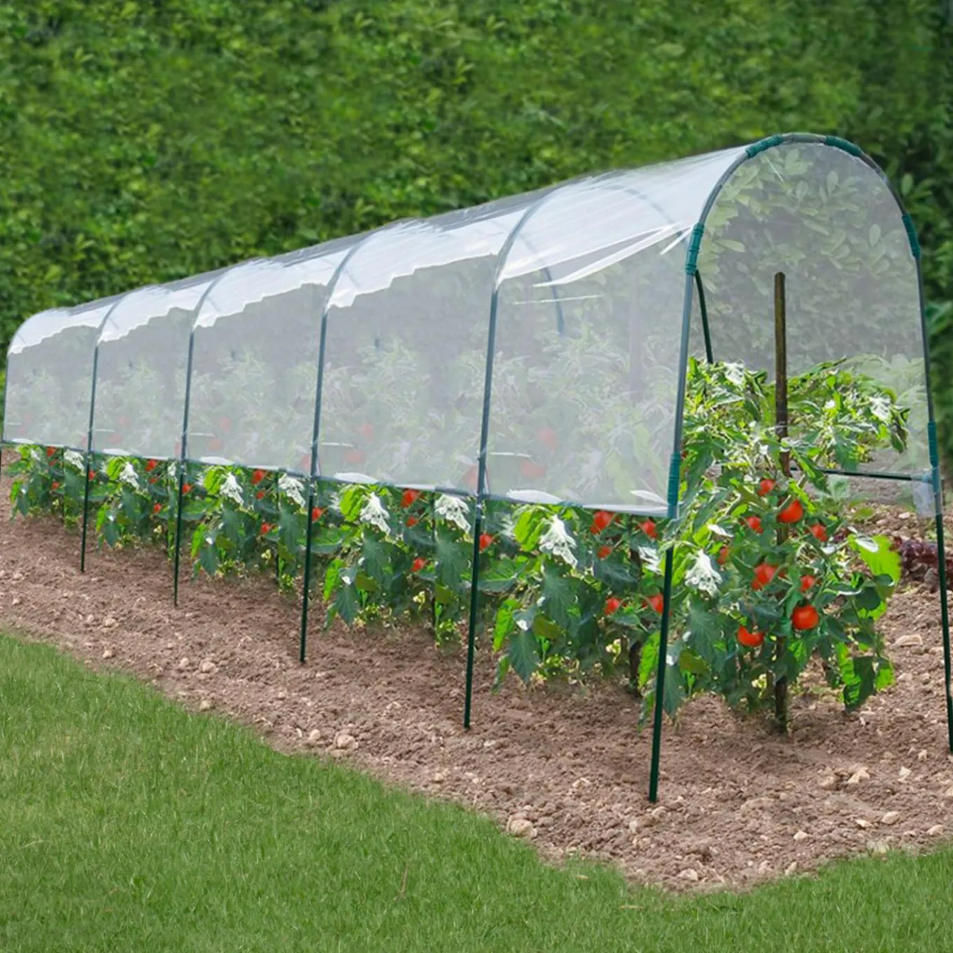 IDMarket Serre à tomates tunnel 6 m* Serres|Serres À Tomates Et Équipement Du Potager