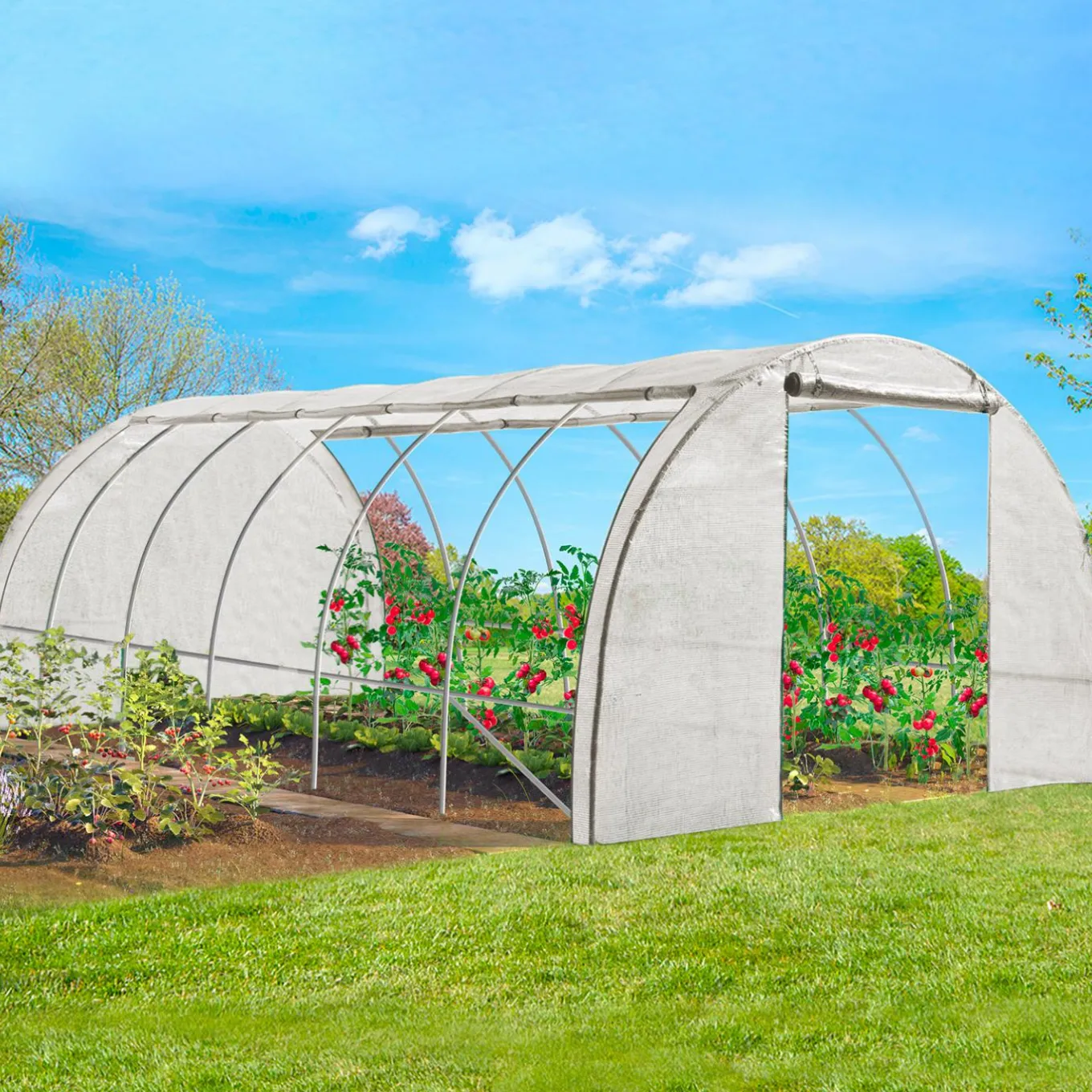 IDMarket Serre de jardin blanche 18 m² 3x6 m* Serres Tunnel|Serres
