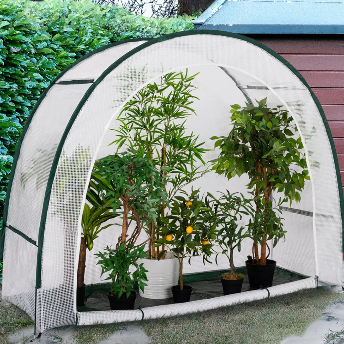 IDMarket Serre d'hivernage balcon et terrasse en demi lune* Protection Du Jardin|Serres