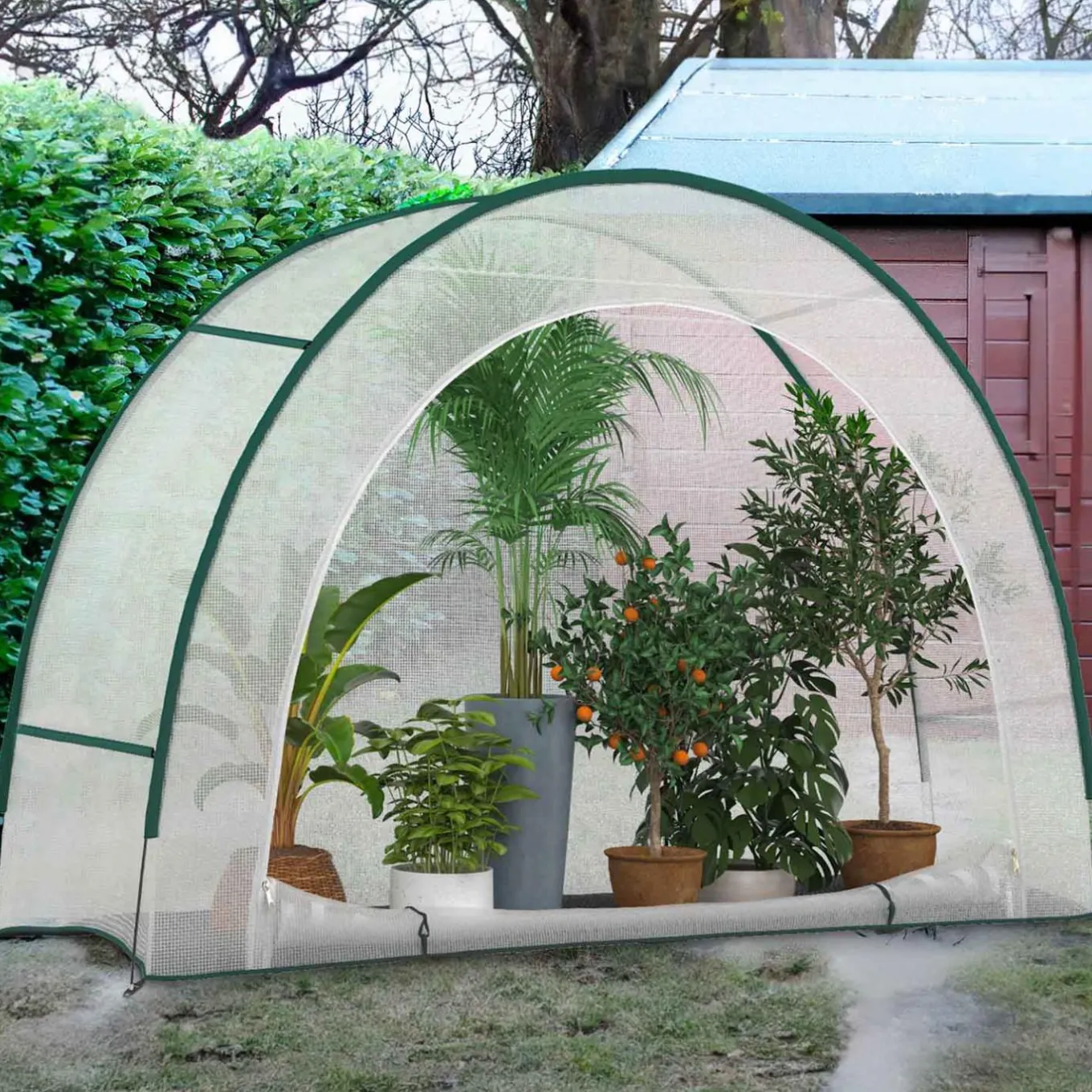 IDMarket Serre d'hivernage balcon et terrasse 300x80x220 cm en demi lune* Serres|Protection Du Jardin