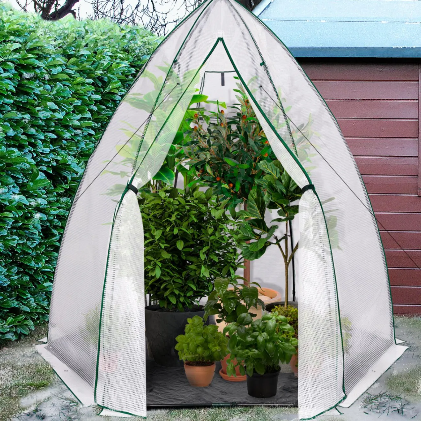 IDMarket Serre hivernage grand format pour plantes* Protection Du Jardin|Serres
