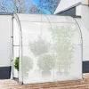 IDMarket Serre murale d’hivernage 80x200 cm* Protection Du Jardin|Serres