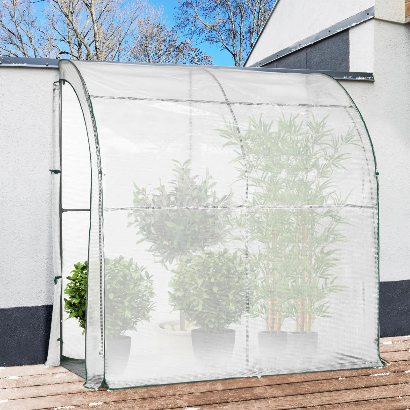 IDMarket Serre murale d’hivernage 80x200 cm* Protection Du Jardin|Serres