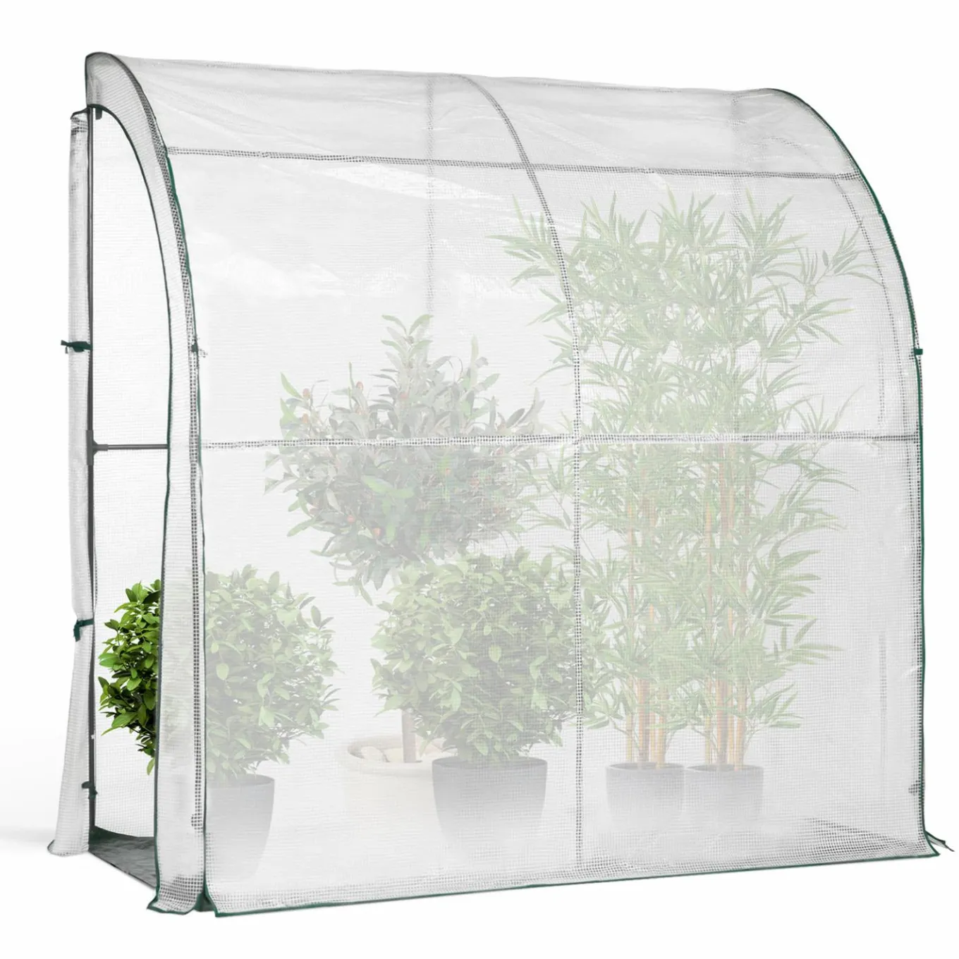 IDMarket Serre murale d’hivernage 80x200 cm* Protection Du Jardin|Serres