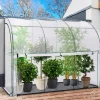 IDMarket Serre murale pour hivernage des plantes* Protection Du Jardin|Serres