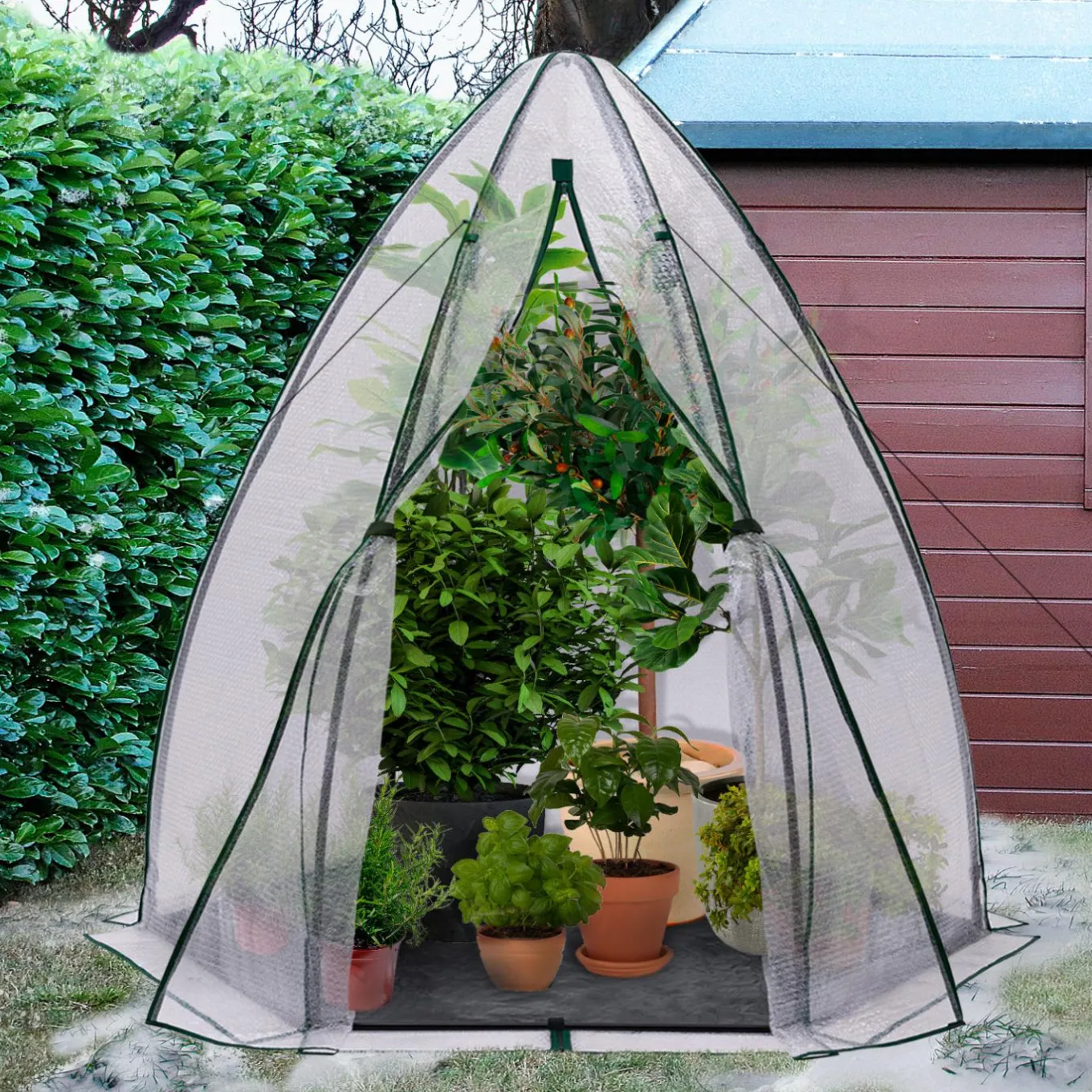 IDMarket Serre pour hivernage des plantes bâche bulle* Protection Du Jardin|Serres