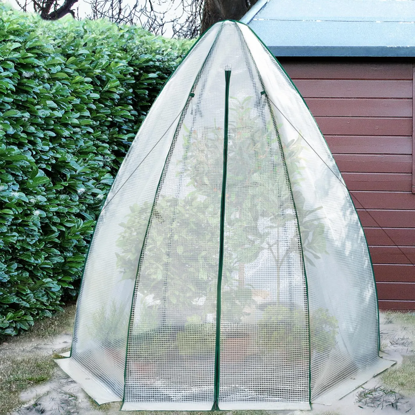 IDMarket Serre pour hivernage des plantes* Protection Du Jardin|Serres