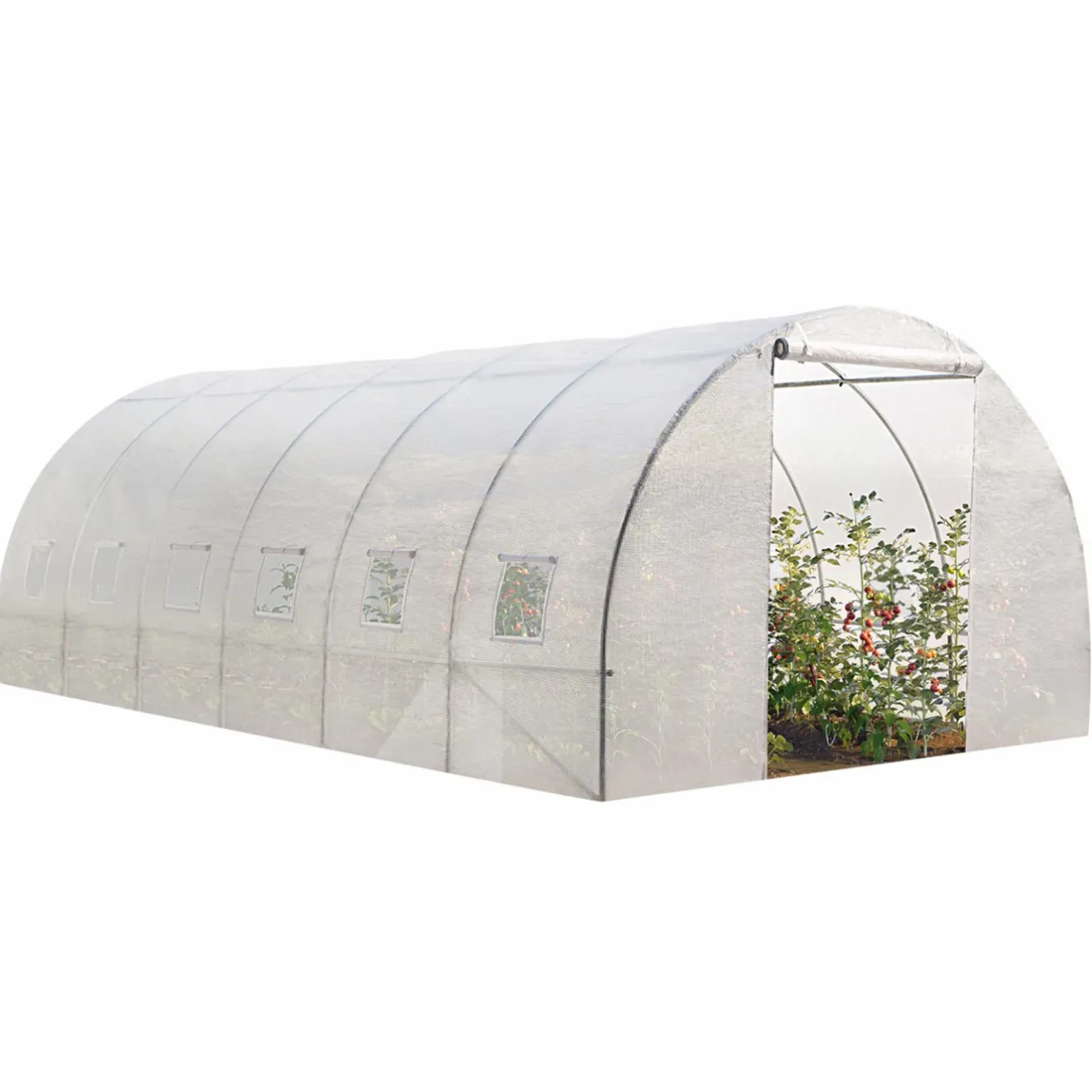 IDMarket Serre 6x3 m transparente* Serres Tunnel|Serres