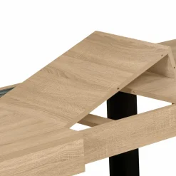 IDMarket Table à manger 10 à 12 personnes bois et noir* Meubles En Bois|Collection Design