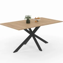 IDMarket Table à manger extensible 6-10 personnes bois et noir 160-200 cm* Collection Industrielle|Salle À Manger Complète