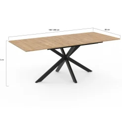 IDMarket Table à manger extensible 6-10 personnes bois et noir 160-200 cm* Collection Industrielle|Salle À Manger Complète
