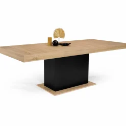 IDMarket Table avec pied central bois et noir extensible* Meubles En Bois|Collection Design