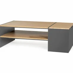 IDMarket Table basse avec rangement bar 110 cm bois imitation hêtre et gris* Collection Design|Collection Moderne