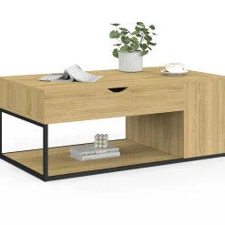 IDMarket Table basse industrielle plateau relevable avec coffre* Meubles En Bois|Collection Industrielle