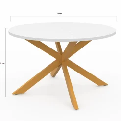 IDMarket Table basse ronde blanche et bois 70 cm pied araignée* Salon Complet|Tables Basses