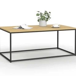 IDMarket Table basse style industriel bois et métal noir* Collection Industrielle|Salon Complet